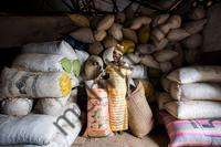 گوترش می گوید آفریقا «منبع امید» برای جهان است