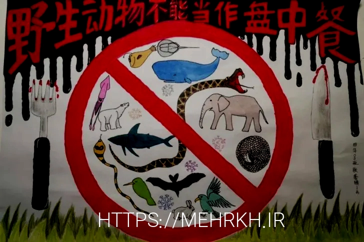 What do animals eat